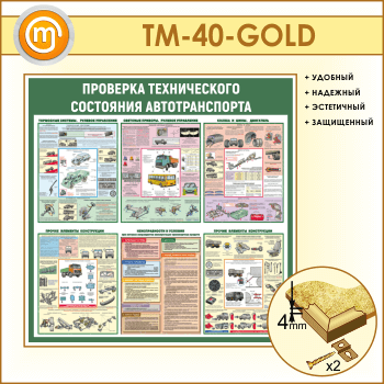 Стенд «Проверка технического состояния автотранспорта» (TM-40-GOLD)